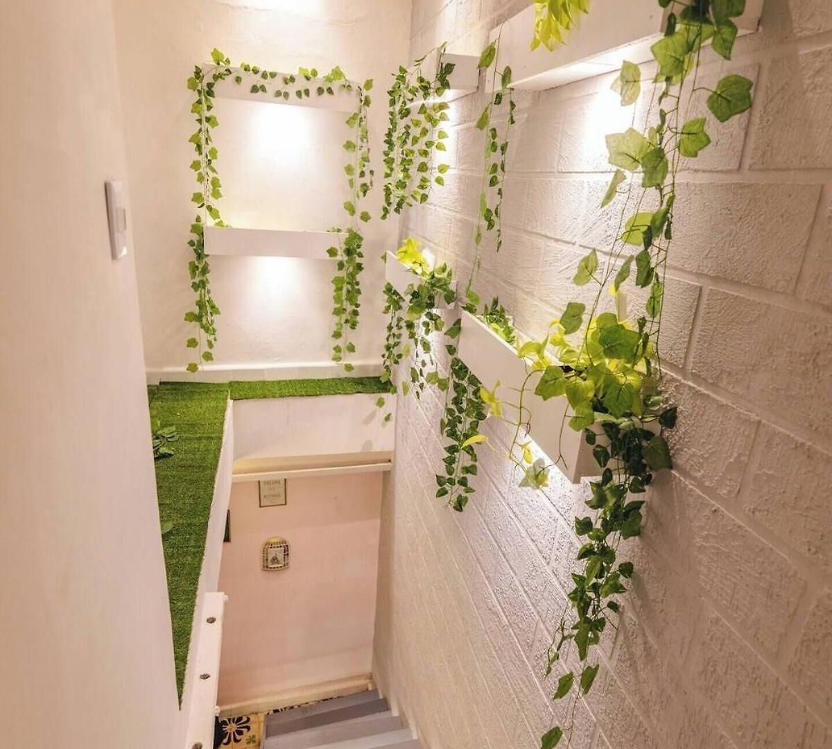 Cassa Hadasa Hotel *