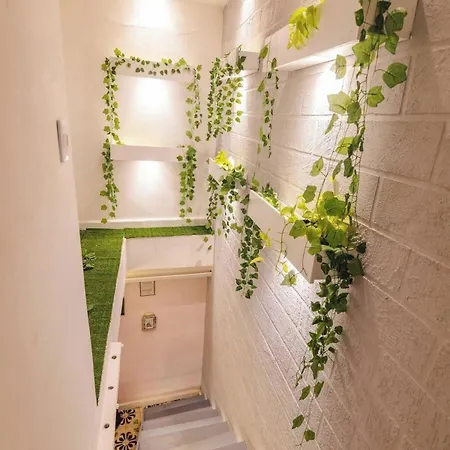 Cassa Hadasa Hotel *